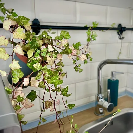 Blue Boho Boutique Villa