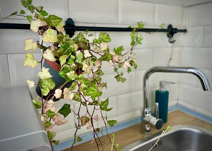 Blue Boho Boutique ヴィラ